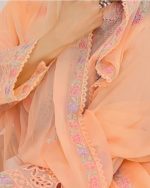 Bin Hameed Raiqa Embroidered Chickenkari Lawn - Image 4