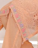 Bin Hameed Raiqa Embroidered Chickenkari Lawn - Image 5