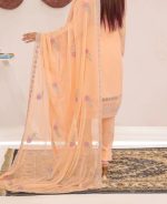 Bin Hameed Raiqa Embroidered Chickenkari Lawn - Image 7